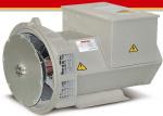 Buy cheap 50hz 3000rpm Brushless AC Alternator Motor Generators Self Exciting from wholesalers