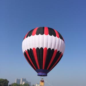 Buy cheap PVC Tarpaulin Inflatable Hot Air Balloon for Commercial Use or Wedding Trip by Ride a Balloon product