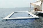 Buy cheap 1000D Double Wall Fabric Floating Water Anti-jellyfish Pool Inflatable Sea Swimming Pool With Netting Enclosure from wholesalers