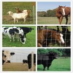 Buy cheap farm wire fence for sheep and goats wire mesh cattle farm fence/horse Woven Hinge Joint Wire Mesh Fence from wholesalers