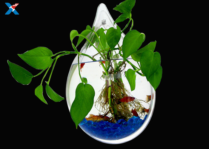 Buy cheap Clear Acrylic Drip Wall Hanging Fish Tank Aquarium / Custom Acrylic Fish Tanks product
