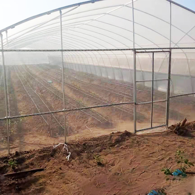 Buy cheap Single Span Plastic Tunnel Greenhouse Commercial Agricultural from wholesalers