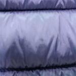 Buy cheap 240gsm Soft Shell Material 20dx20d 137CM Quilting Nylon Taffeta Fabric from wholesalers