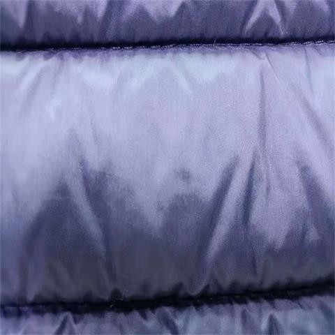 240gsm Soft Shell Material 20dx20d 137CM Quilting Nylon Taffeta Fabric