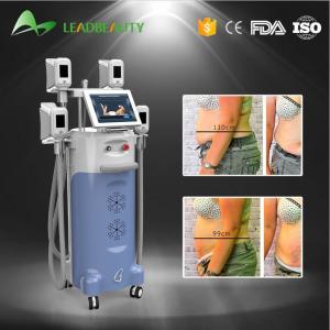 Buy cheap Cryolipolysis cold body sculpting machine with 4 handles fat freezing machine product