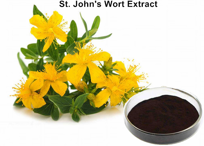 Buy cheap St. John’S Wort Natural Plant Extracts 0.3% Hypericin Natural Anti - Depression from wholesalers