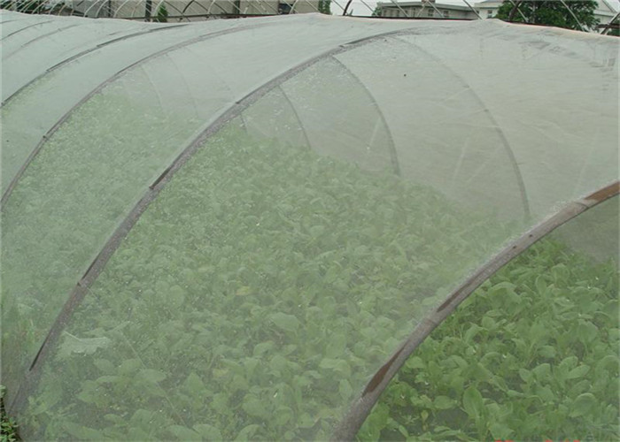Buy cheap Durable 5 Years Usage Insect Repellent Net 20x10 Anti Aphid Net Greenhouse from wholesalers