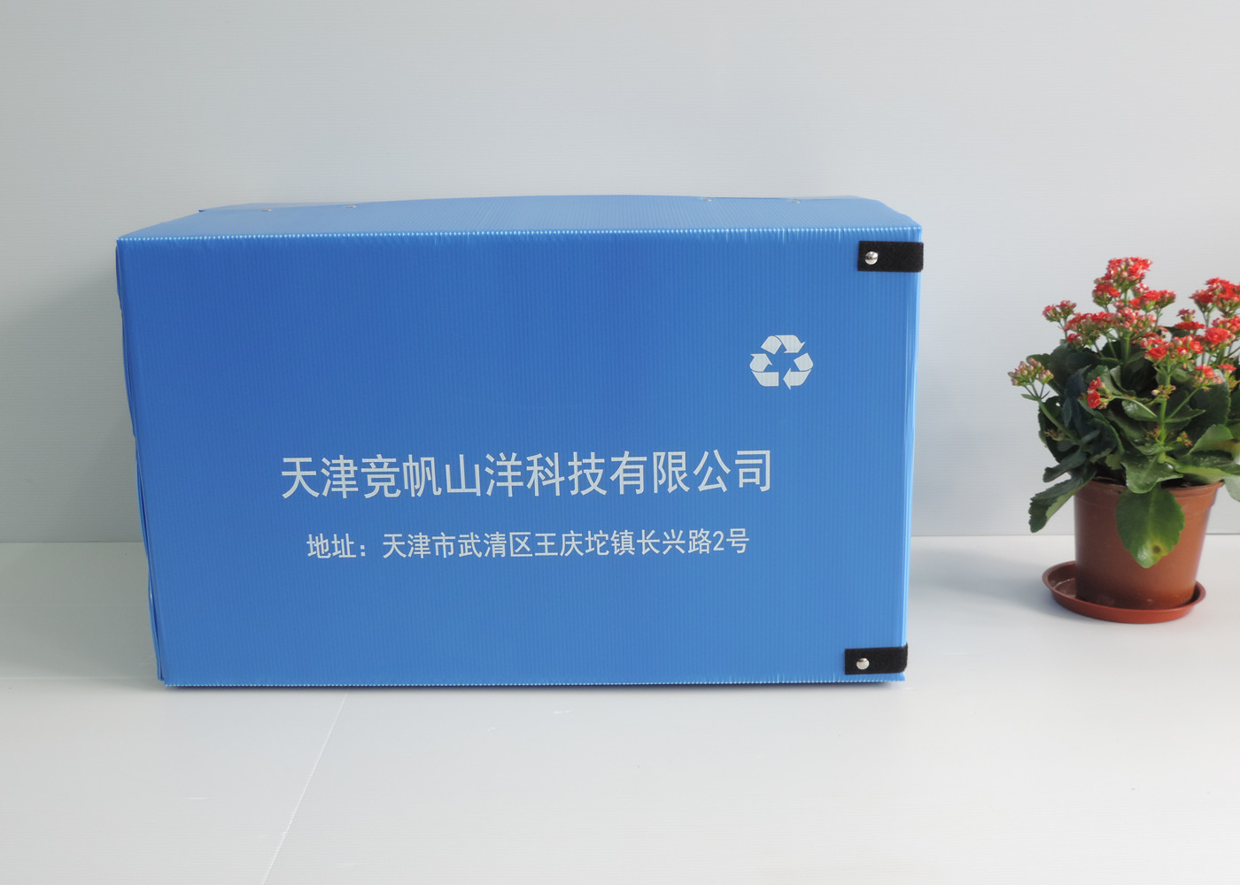 Buy cheap Self Adhesive PP Corrugated Plastic Box 620x420x380mm from wholesalers