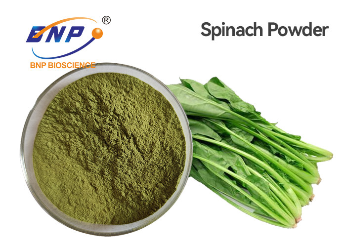 Buy cheap Green Fine Spinach Leaf Extract Juice Powder 80 Mesh High Temperature Sterilization from wholesalers