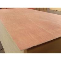 Buy cheap Poplar Core Commercial Plywood Bintangor B/BB Face 2 Time Hot Press Processing product