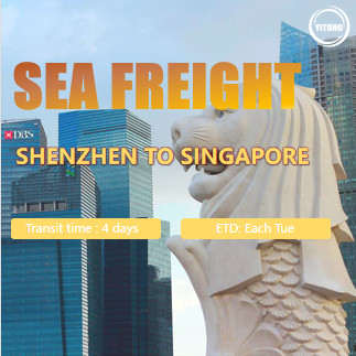 International Sea Freight from Shenzhen to Singapore Port to Port