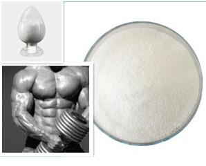 Steroid manufacturing gmp
