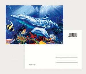 Buy cheap 2021 Souvenir scenery Plastic lenticular 3D printing postcard with 3D flip effect post card printed by UV printer product