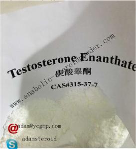 Testosterone ethanate cycle