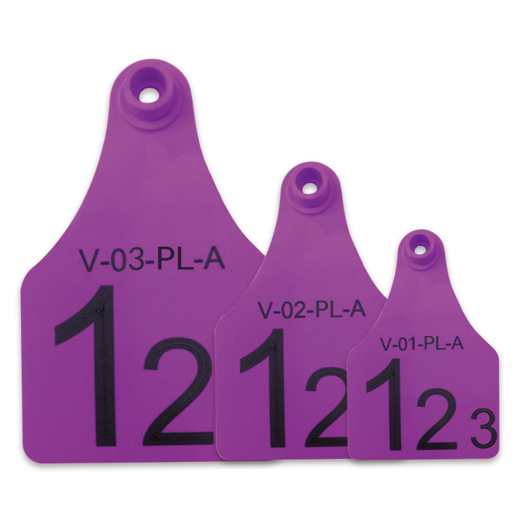 Buy cheap Purple Re - use Male Electronic Ear Tags For Divisional Management Of Animals product