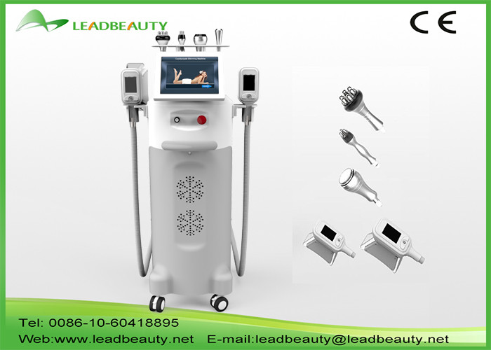 Buy cheap 5 handles 12inch fat freeze cryolipolysis beauty slimming machine product