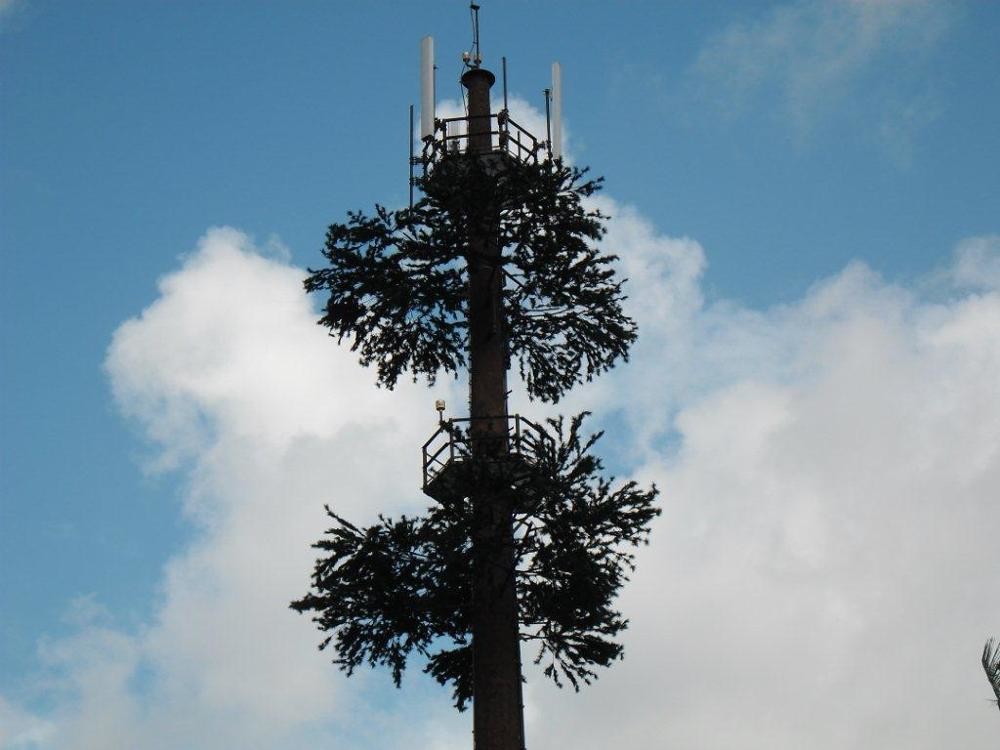 Buy cheap Pine Tree 50m Camouflage Cell Tower For Telecommunication product