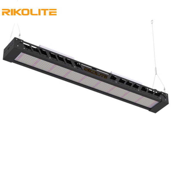 Buy cheap SMD3030 IP65 300w Full Spectrum Grow Lights , 1450umol/s Led Light Bar Fixture product