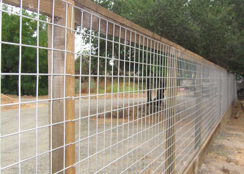 Buy cheap 4x4 Galvanized Welded Wire Mesh Panels 14 Gauge 2m Length Hog Wire Fence Panels from wholesalers