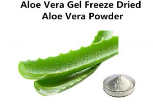 Is Aloe Vera Gel Water Soluble 105