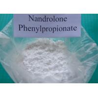 Nandrolone phenyl propionate cutting cycle