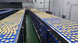 Buy cheap Independent Controlled FDA SUS304 Food Industry Conveyors product