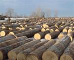 Buy cheap Hickory 8/4 Lumber from wholesalers