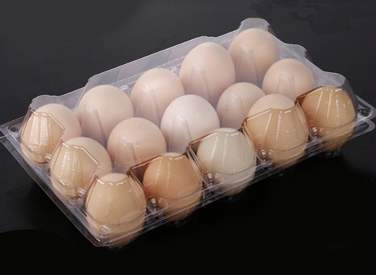 Buy cheap Waterproof PET Transparent Egg Trays , 15 Cavities Egg Carton Packaging from wholesalers