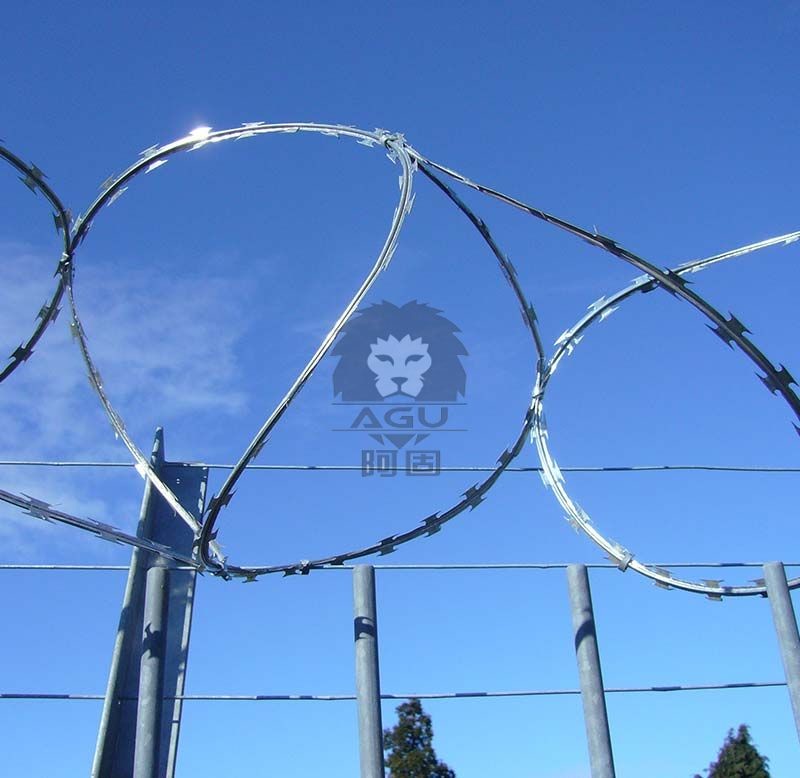Buy cheap Hot Dipped Galvanized Concertina High Security Wire Construction & Decoration»Wire Mesh»Barbed Wire product