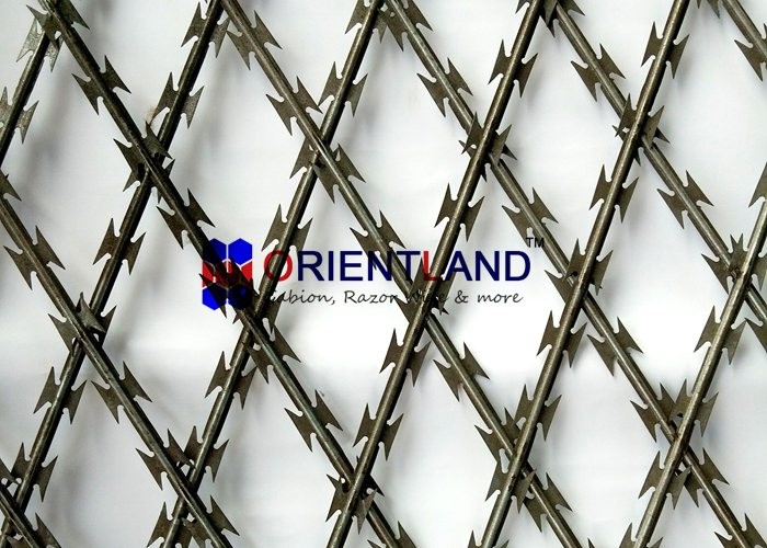 Buy cheap High Tensile Core Security Razor Wire Fence 0.45mm Blade Thickness Difficult To Cut from wholesalers