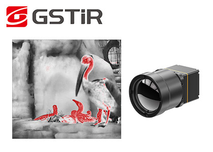 Buy cheap TWIN612 Thermal Imaging Module Sharp & Clear Images With ±2℃ Or ±2% Accuracy from wholesalers