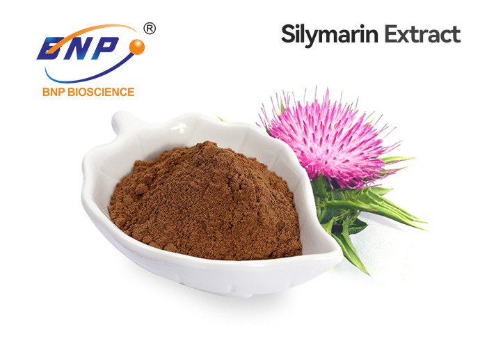 Buy cheap 30% Silybin 80% Silymarin Silymarin Extract Powder GMP Milk Thistle Extract For Liver from wholesalers
