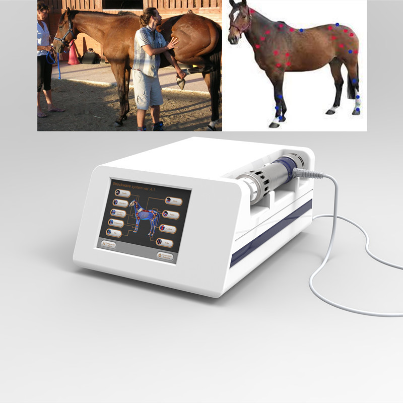 Buy cheap Veterinary Shockwave Therapy Machine For Racing Horse from wholesalers