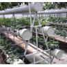 Buy cheap Pollution Free Commercial Hydroponic Greenhouse Saving Water / Fertilizer from wholesalers