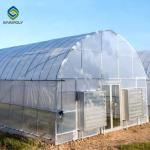 Buy cheap 10m Plastic Single Tunnel Greenhouse Uv Resistant Clear Sheeting from wholesalers