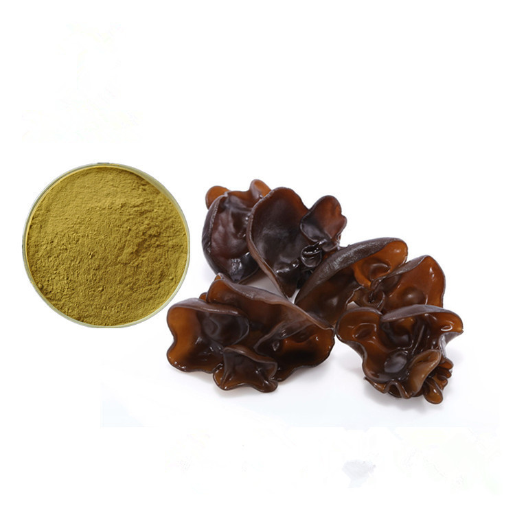 Buy cheap 20% - 50% Polysaccharides Black Fungus Extract Powder / Auricularia Auricula Extract from wholesalers