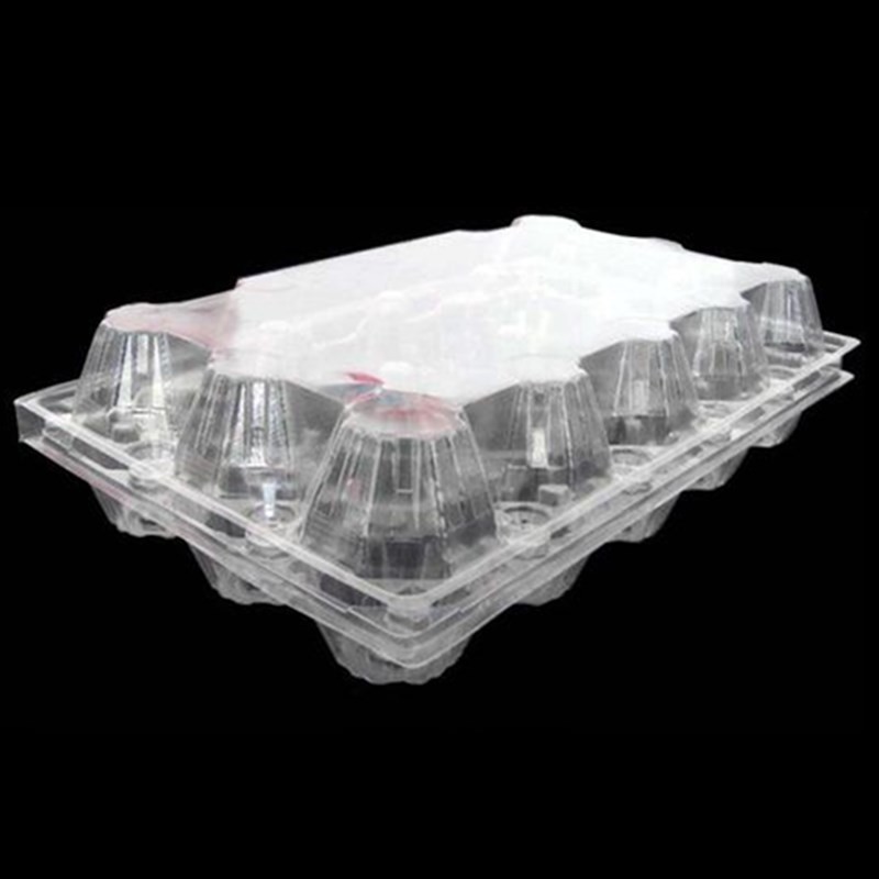 Buy cheap 15packs Disposable PET Clear Plastic Egg Tray 71mm Square Egg Tray Holder from wholesalers