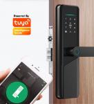 Buy cheap Wifi Biometric Tuya Smart Door Lock Silver Mechanical Keyless Door Lock from wholesalers