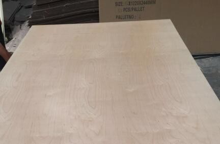White Birch UV Coated Plywood Poplar / Eucalyptus Core Type 2.5 - 20mm Thickness