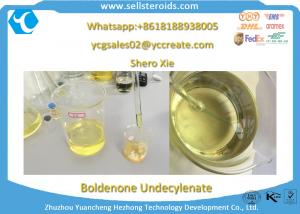 Boldenone undecylenate 300 mg