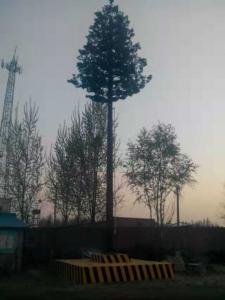 Buy cheap Artificial Bionic Pine Tree Self Supporting Camouflage Cell Tower 10m product