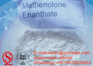Primobolan depot and trenbolone cycle