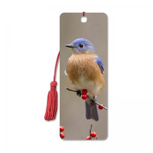 Buy cheap Bird Design 3D Animal Bookmarks With Two Side CMYK Printing / Personalised Bookmarks For Schools product