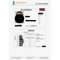 Buy cheap Driving License Translation in Qingdao Shandong China, Driver License Translatio product