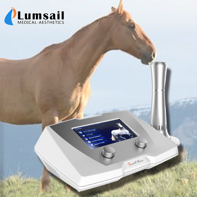 Buy cheap Clinic Horse Shockwave Therapy Machine 1 - 22 Hz Frequency For Suspensory Ligament Disease from wholesalers
