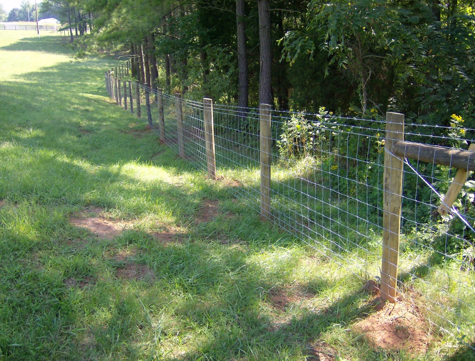 Buy cheap 4 Ft 5 Ft Livestock Mesh Fencing SGS Certification from wholesalers