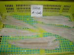 Buy cheap dry salted fish fillets,  atlantic cod, 48-50%, 5-52%, 52-54% moisture from wholesalers