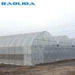 Buy cheap Hot Dip Galvanized Steel Wind Resistance Sides Ventilation Multi Span Greenhouse from wholesalers