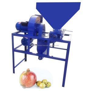 Buy cheap Camellia Seed Shelling Sorting Automatic Food Processing Machine Commercial from wholesalers