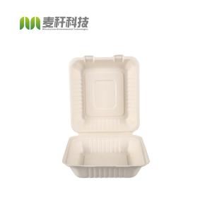 biodegradable disposable sugarcane bagasse takeaway food container packaging